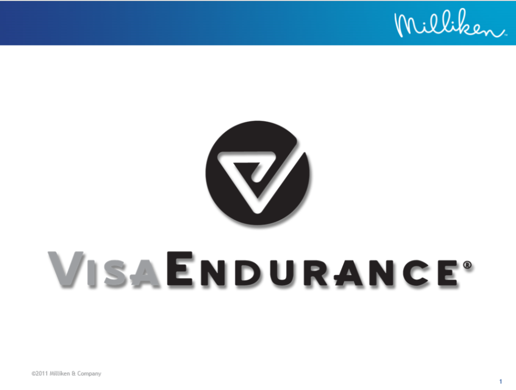 Vista Endurance